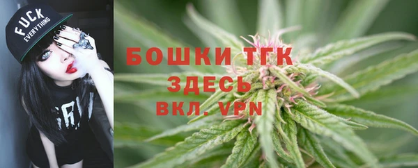 дурь Лагань