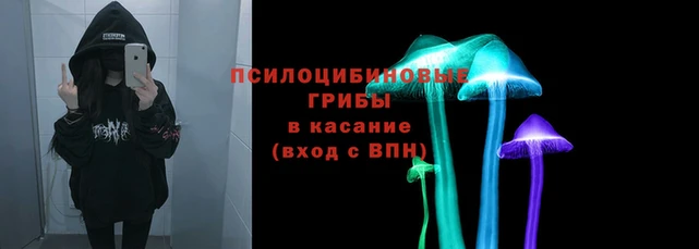 дурь Лагань