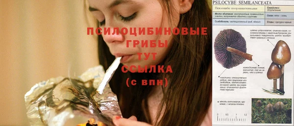 СК Ладушкин