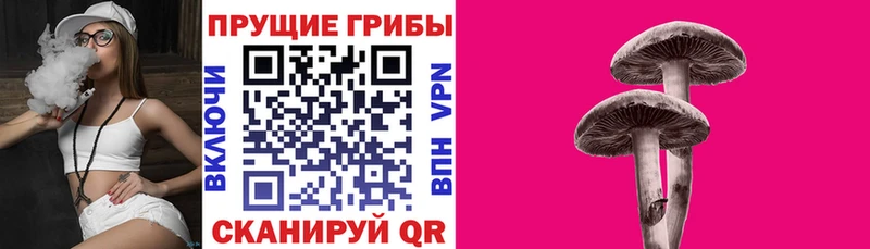 купить  цена  Холм  Галлюциногенные грибы мухоморы 